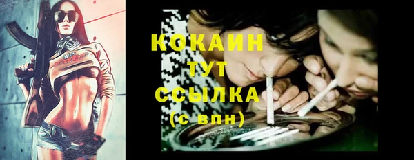 твердый Аркадак