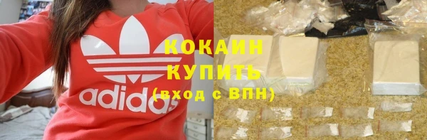 спайс Арсеньев