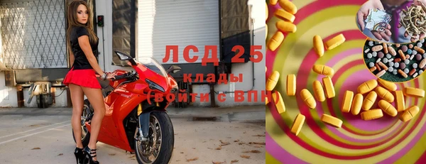 твердый Аркадак