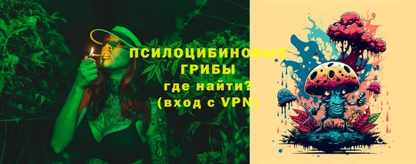 твердый Аркадак