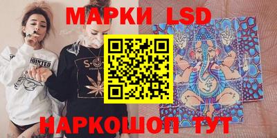 шишки Кандалакша