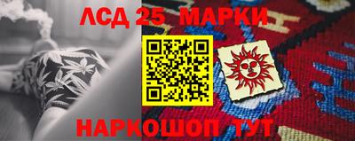 шишки Кандалакша
