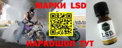шишки Кандалакша