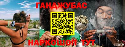 шишки Кандалакша