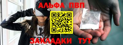 шишки Кандалакша