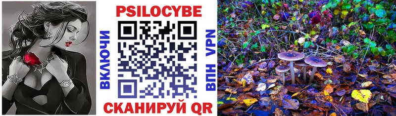 Псилоцибиновые грибы прущие грибы  Мурманск 