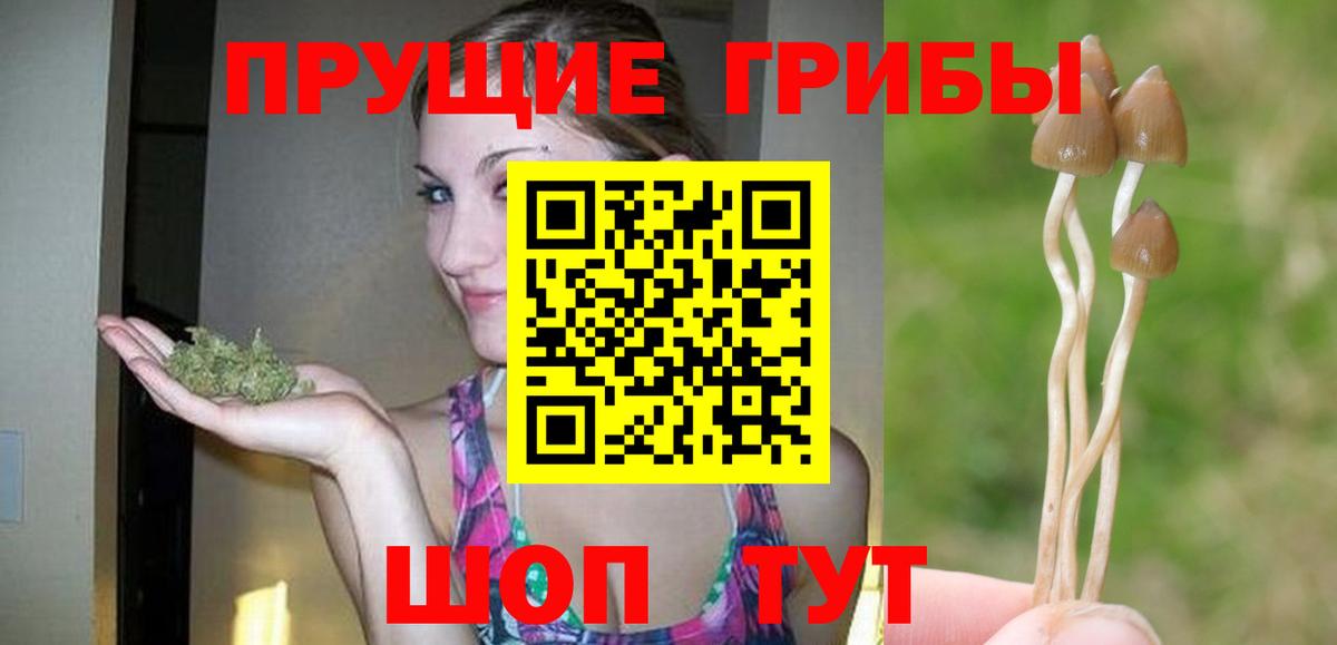 даркнет сайт  Псилоцибиновые грибы мицелий  Вход с VPN  Псилоцибиновые грибы Cubensis  Мурманск 